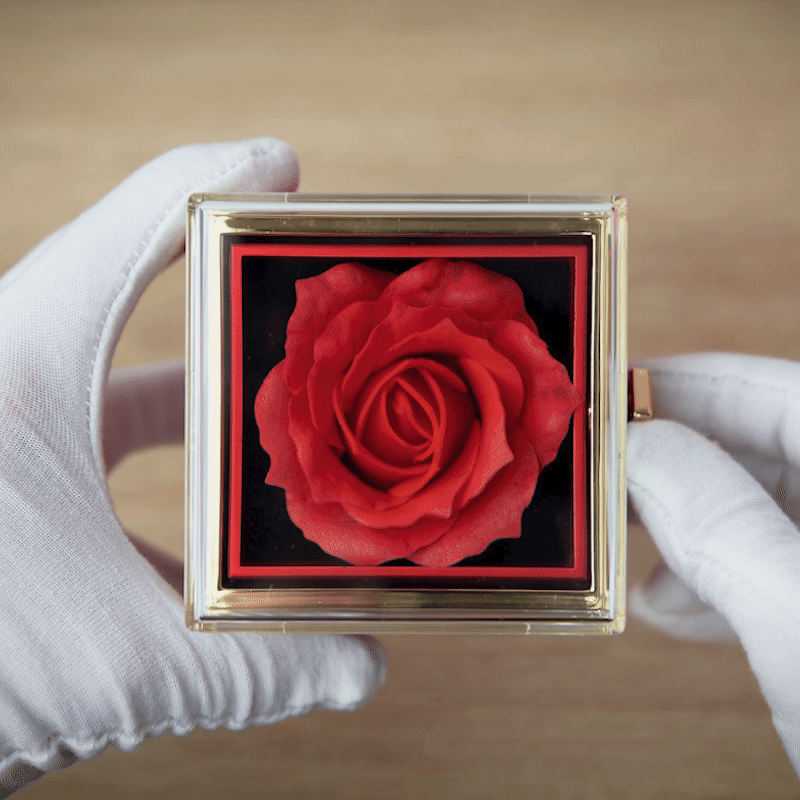 Coffret rose éternelle rouge avec collier personnalisé, idée cadeau raffiné pour femme